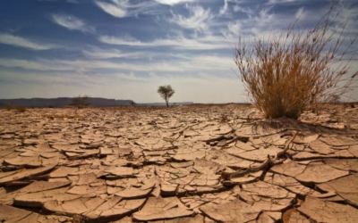 Il cambiamento climatico nelle norme ISO